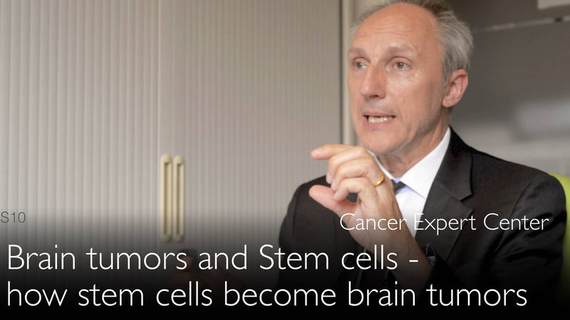 Brain tumors and stem cells. How stem cells become brain cancer. 9