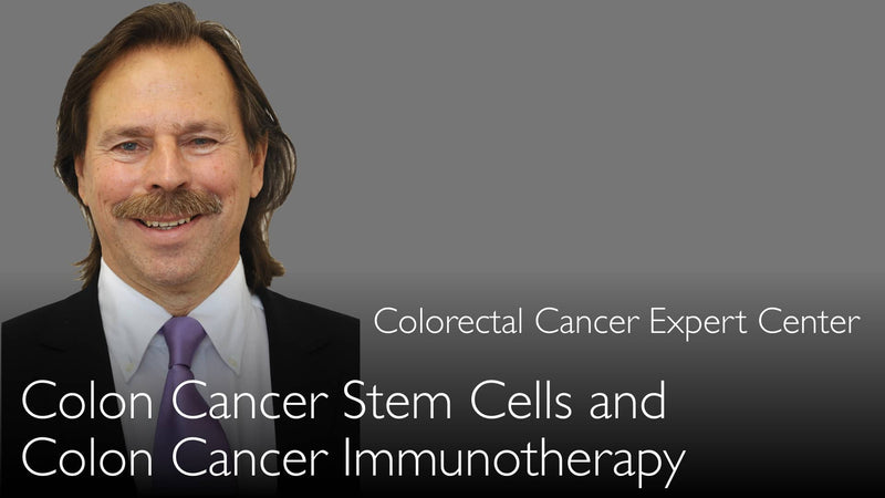 Colorectal cancer stem cells. Immunotherapy of colon cancer. 3-1