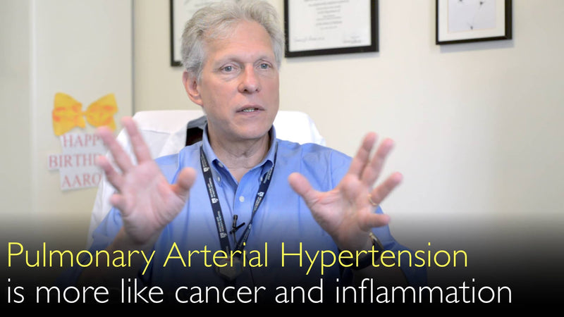 Pulmonary Arterial Hypertension is a misnomer. Pathological process is more similar to cancer and inflammation. 1