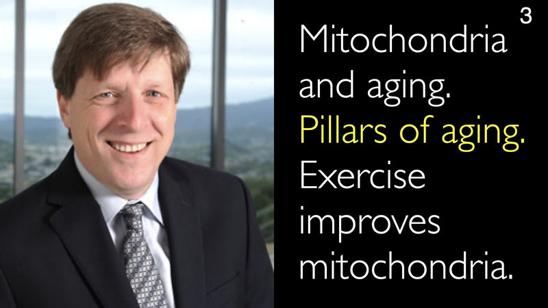 Mitochondria and aging.  Pillars of aging. Exercise improves mitochondria. 3