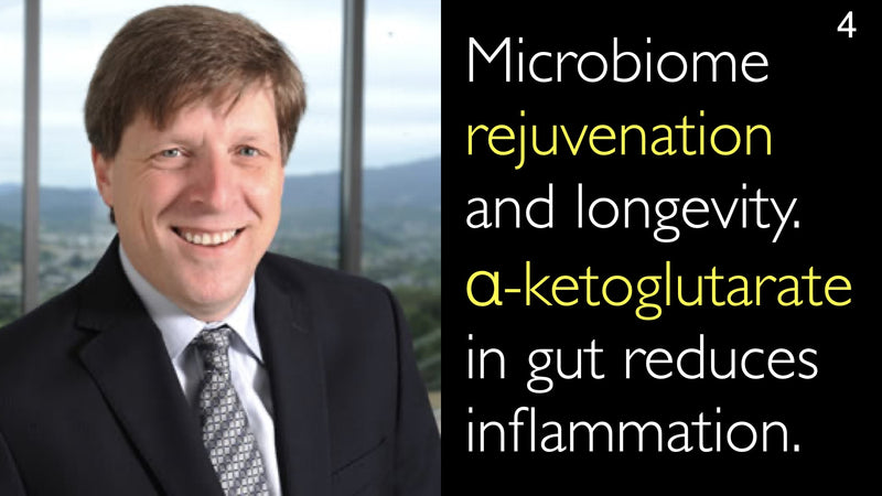 Microbiome rejuvenation and longevity. Alpha-ketoglutarate in gut reduces inflammation. 4