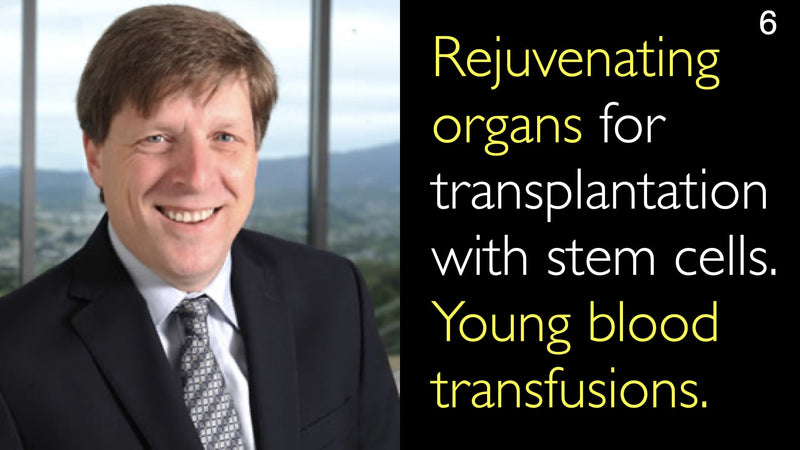 Rejuvenating organs for transplantation with stem cells. Young blood transfusions. 6