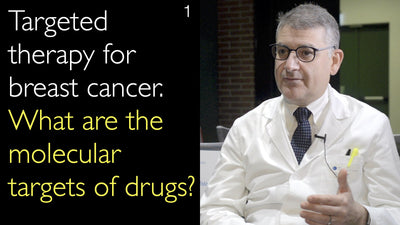 Targeted therapy for breast cancer. What are the molecular targets of drugs? 1