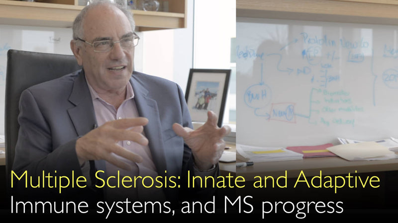 Multiple Sclerosis. Innate and Adaptive Immune systems interact. 3