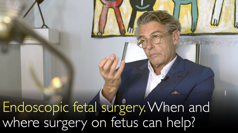 Endoscopic fetal surgery. When and where surgery on fetus can help? 1. [Parts 1 and 2]