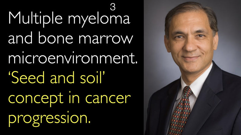 Multiple myeloma and bone marrow microenvironment. ‘Seed and soil’ concept in cancer progression. 3