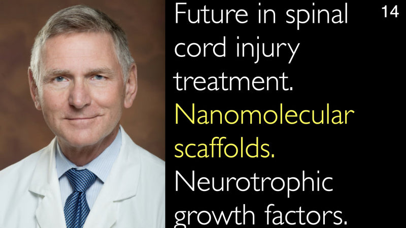 Future in spinal cord injury treatment. Nanomolecular scaffolds. Neurotrophic growth factors. 14