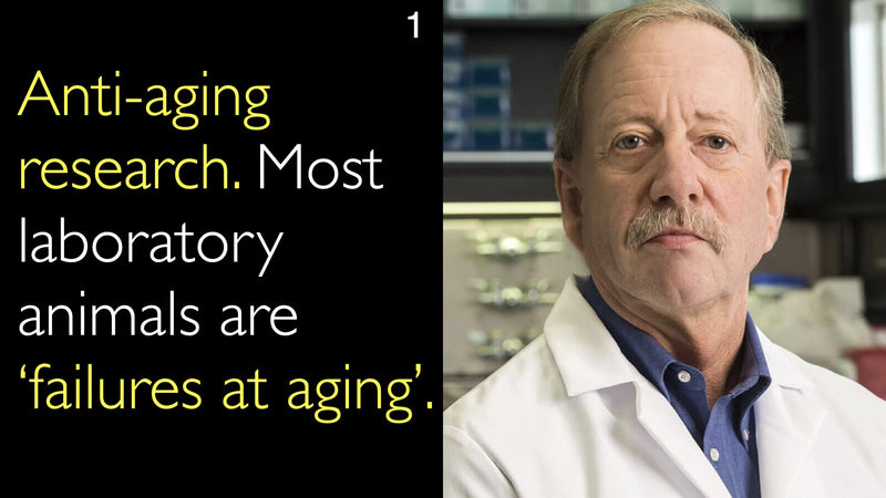 Anti-aging research. Most laboratory animals are ‘failures at aging’. 1