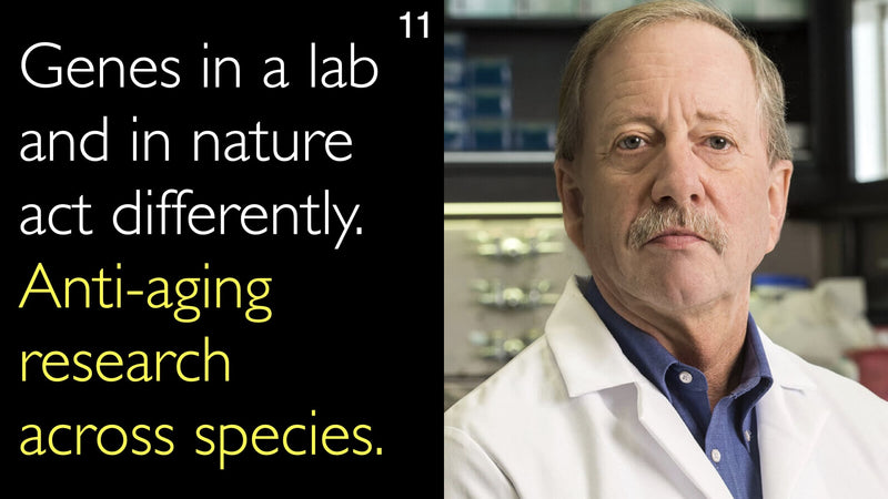 Genes in a lab and in nature act differently. Anti-aging research across species. 11