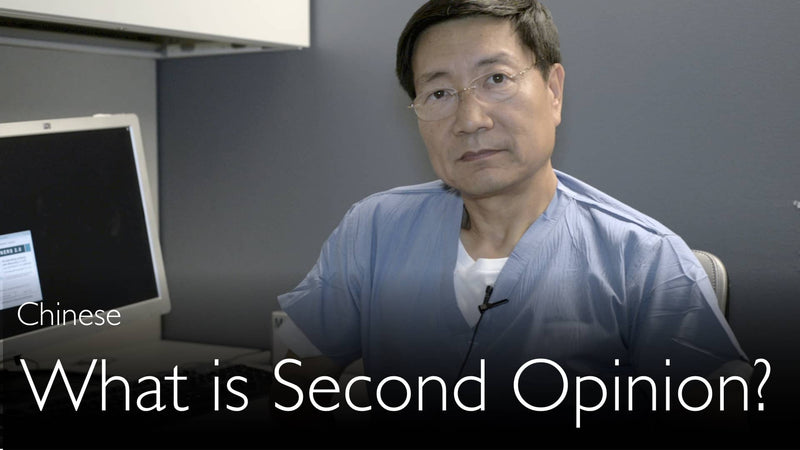 Chinese. What is Medical Second Opinion?