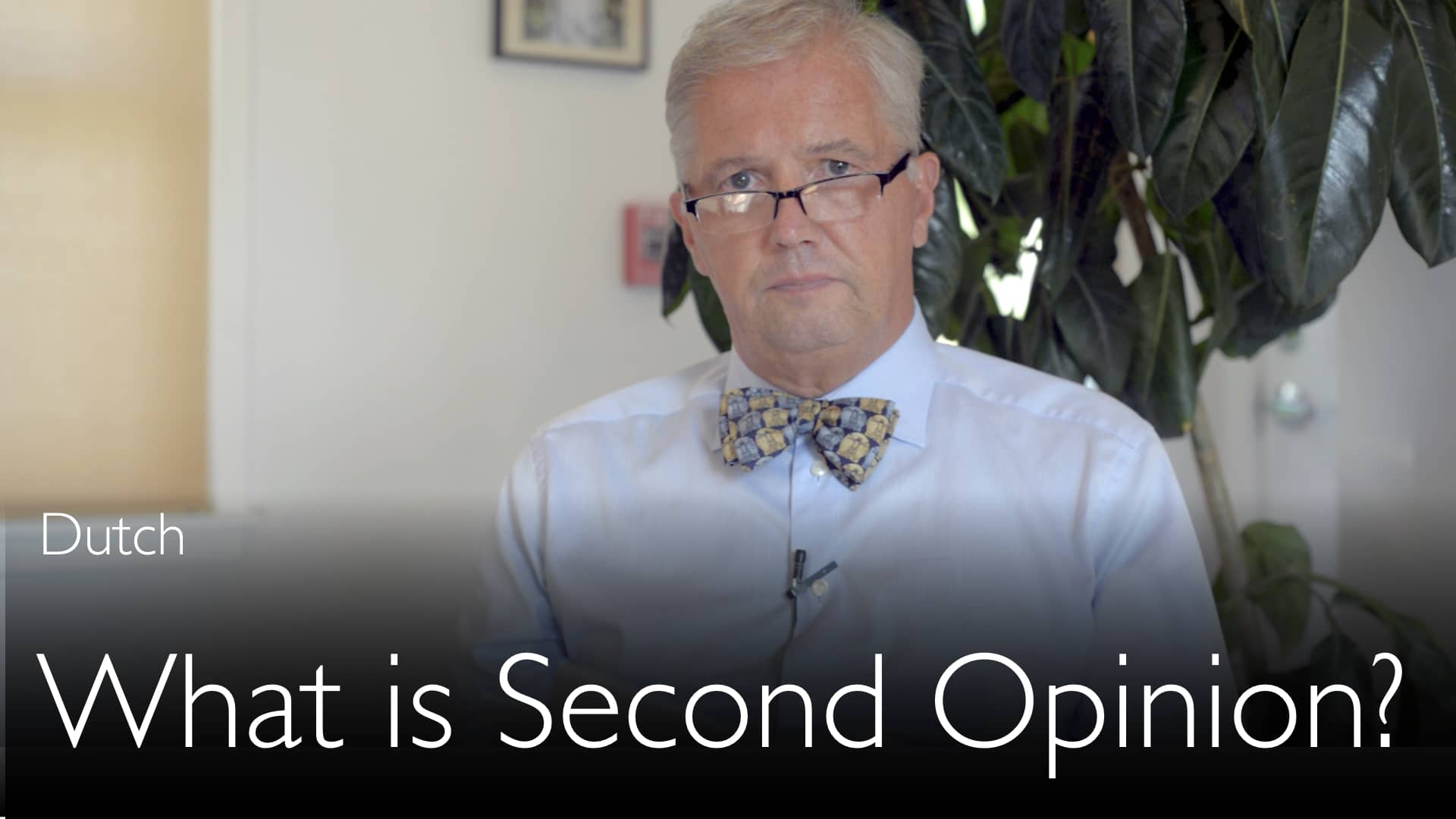 Dutch. What is Medical Second Opinion? – DiagnosticDetectives.Com