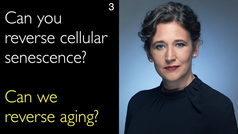 Can you reverse cellular senescence? Can we reverse aging? 3